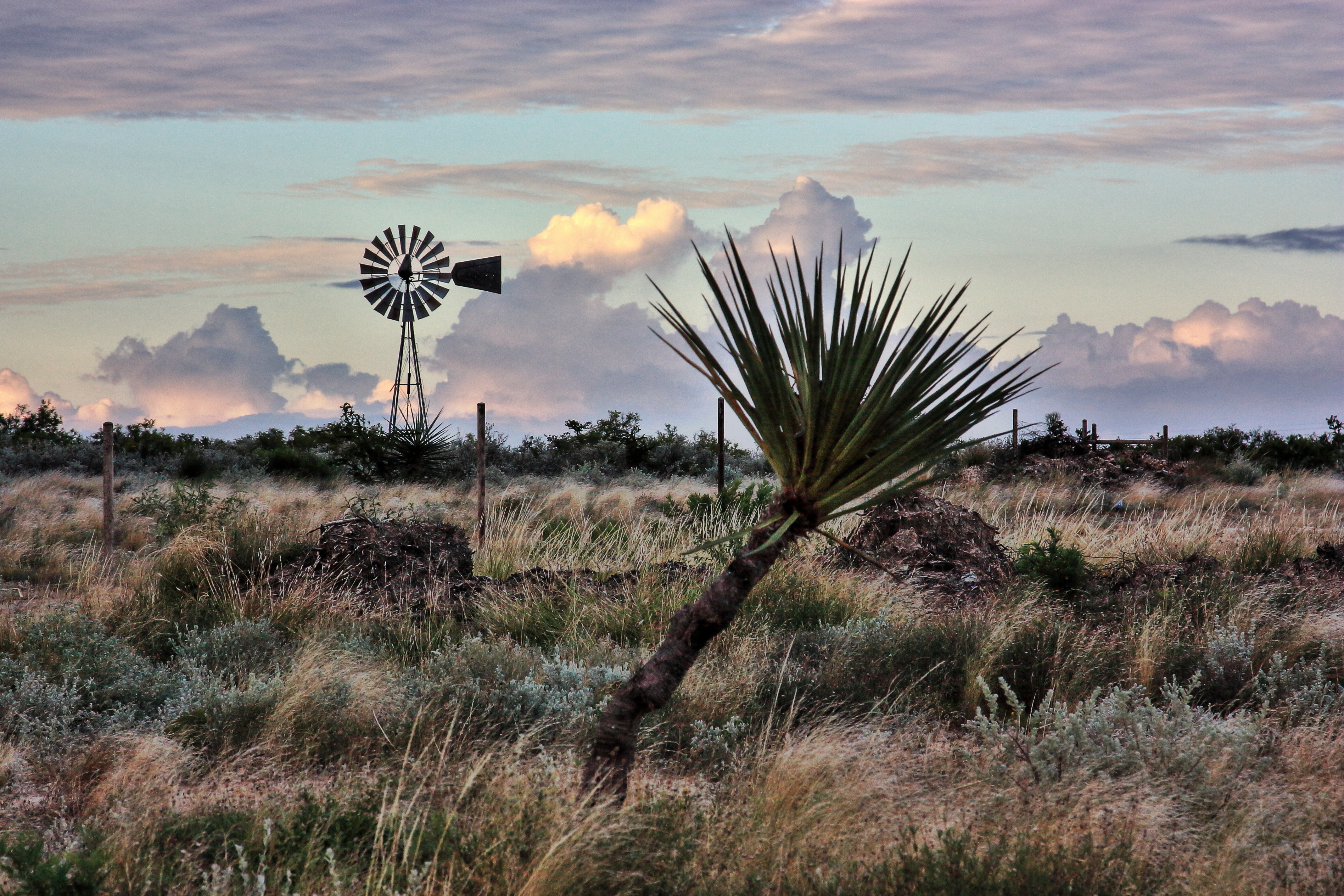 Central Texas: A Strategic Move Towards Financial Freedom